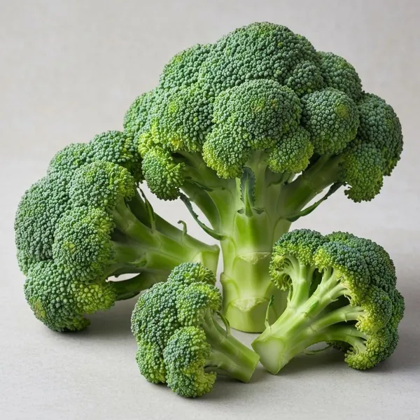 Is Broccoli Low FODMAP?