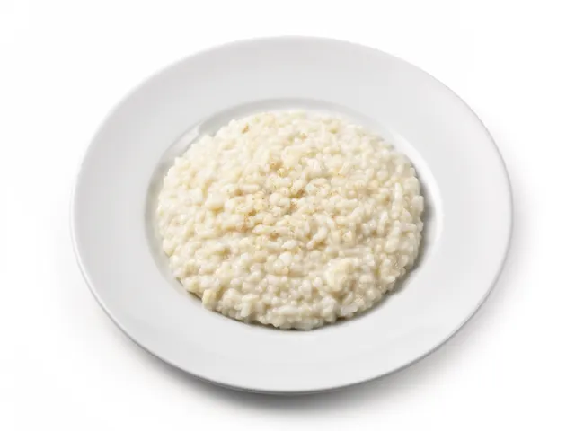 Low FODMAP Vanilla Rice Pudding